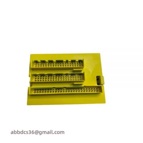 ABB DX581-S 1SAP284100R0001: Safety Digital Input/Output Module