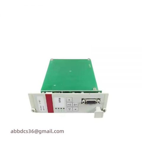 Braun E1667.011 | Industrial Protection Monitoring Module