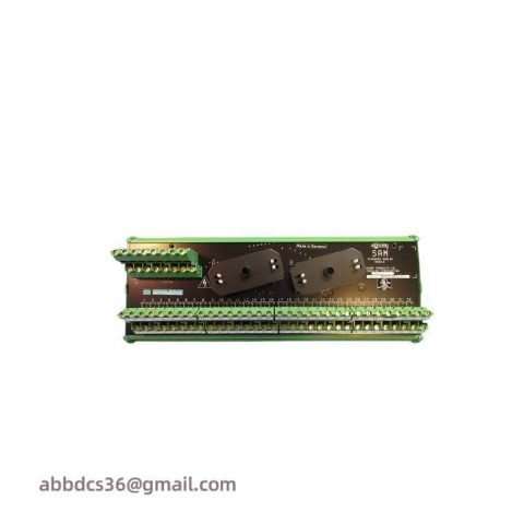 SIEMENS 16169-1-07 Analog Input Module